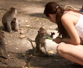 Avantages et inconvénients du métier de soigneur animalier