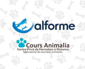 Zoom sur notre partenaire : Alforme