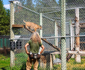 Chef animalier