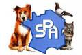 Logo SPA