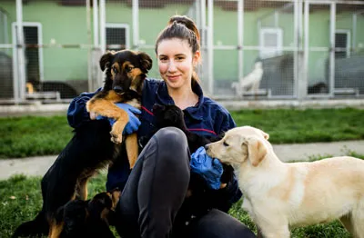 éducatrice avec ses chiens