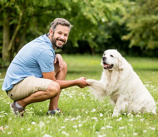 Maitre et son chien
