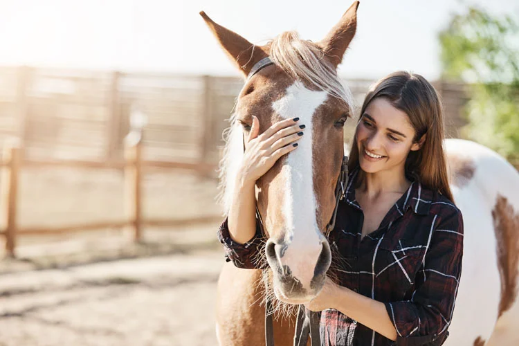Une jeune fille qui caresse un cheval et qui se prépare à devenir responsable d'étable dans une ferme d'animaux.