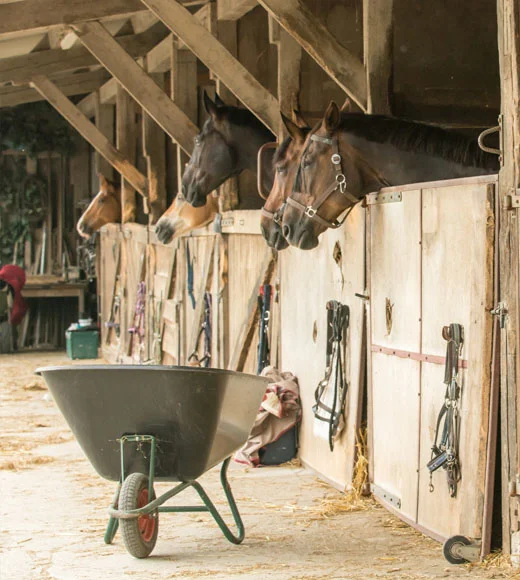 Une écurie avec des chevaux